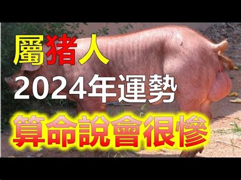 1971 豬|【1971生肖】1971生肖豬運勢大解析！十豬九苦是真的嗎？